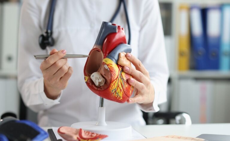 Certificate in Cardiac Anatomy and physiology
